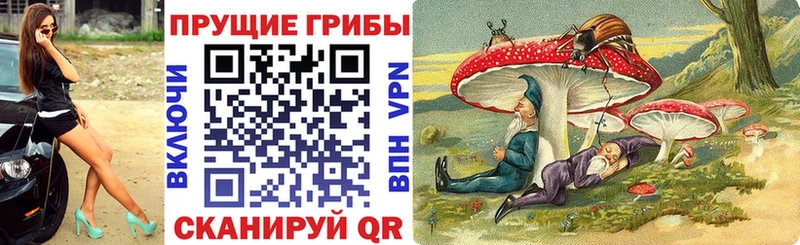 Псилоцибиновые грибы мухоморы  Агрыз 